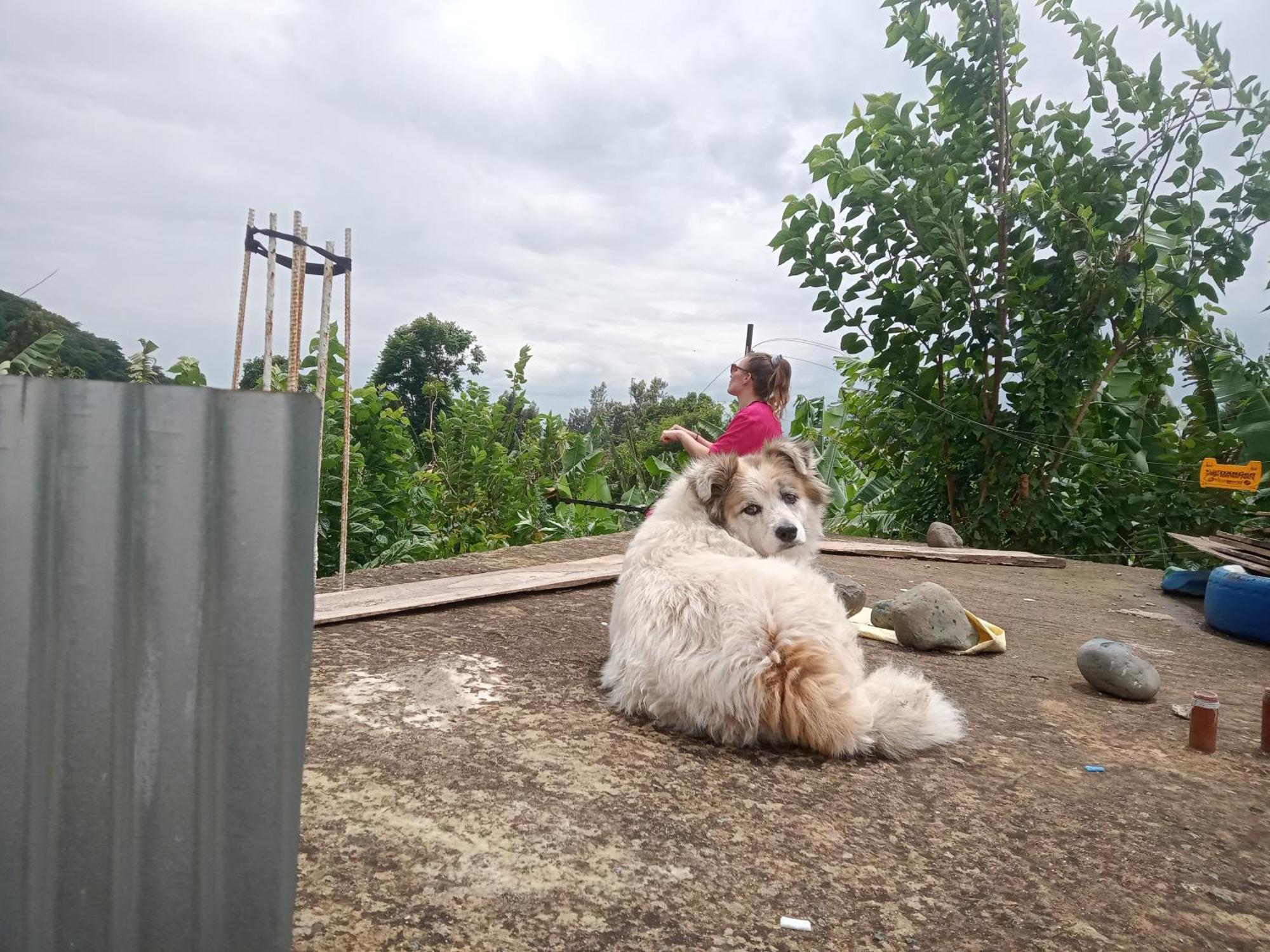 First Point Arusha Hostel 外观 照片